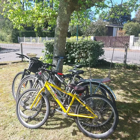 La Rose Des Sables *