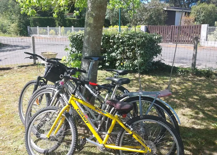 La Rose Des Sables *