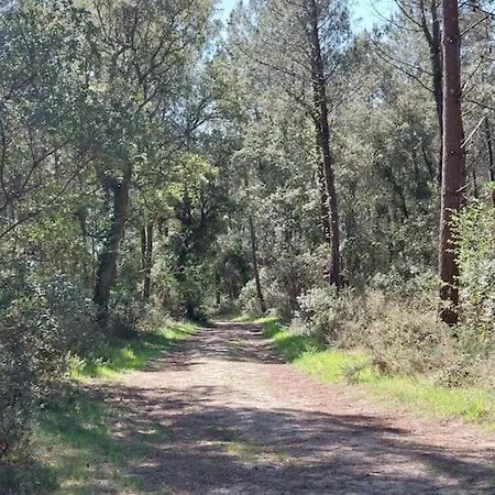 Nyaraló La Rose Des Sables